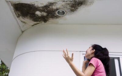 Leaky Roofs Lead To Dangerous Molds