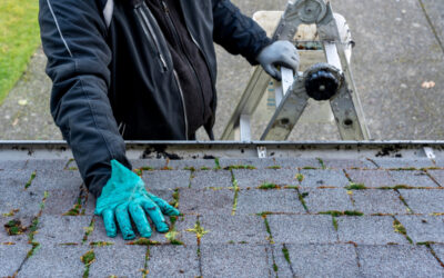Know What To Look For When Inspecting Your Roof