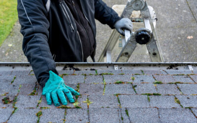 The Importance Of Roof Maintenance