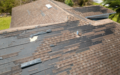 The Homeowner’s Guide to Stopping Shingle Granule Loss Before It Becomes a Leak