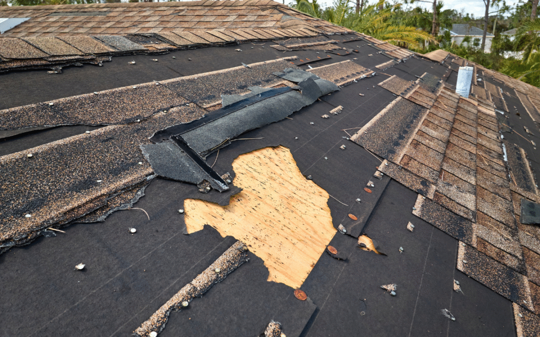 Why One Missing Shingle Can Turn Into a Full Roof Replacement