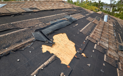 Why One Missing Shingle Can Turn Into a Full Roof Replacement