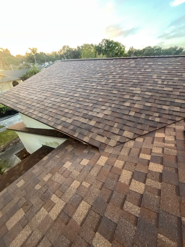 Mitchell roof palm harbor