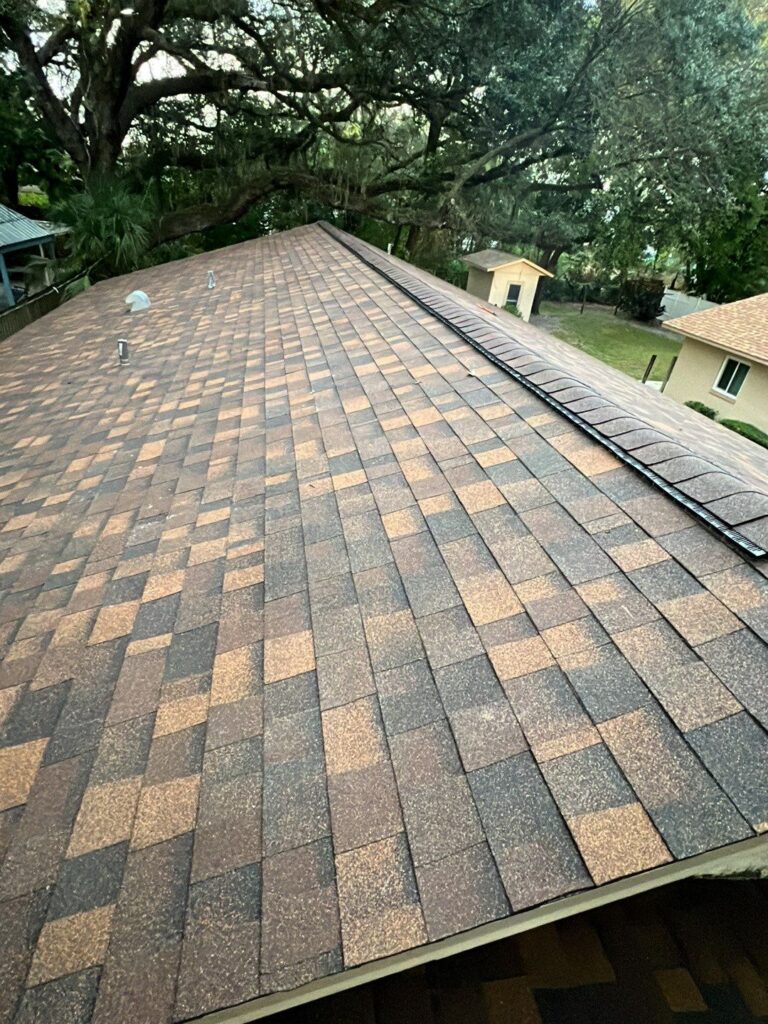 Mitchell roof safety harbor