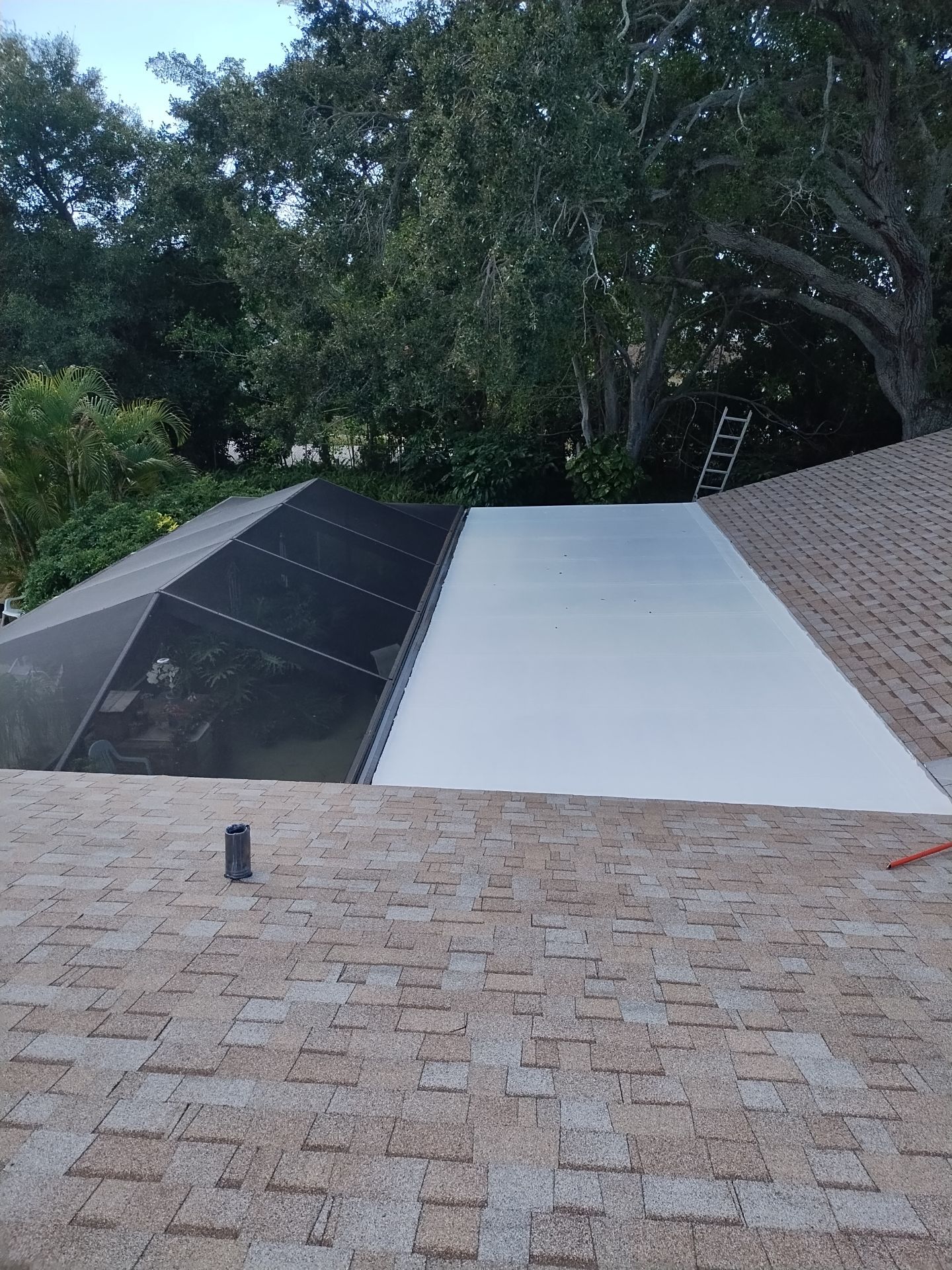 What Is Roof Granule Loss, and What Does It Reveal About Shingle Health?